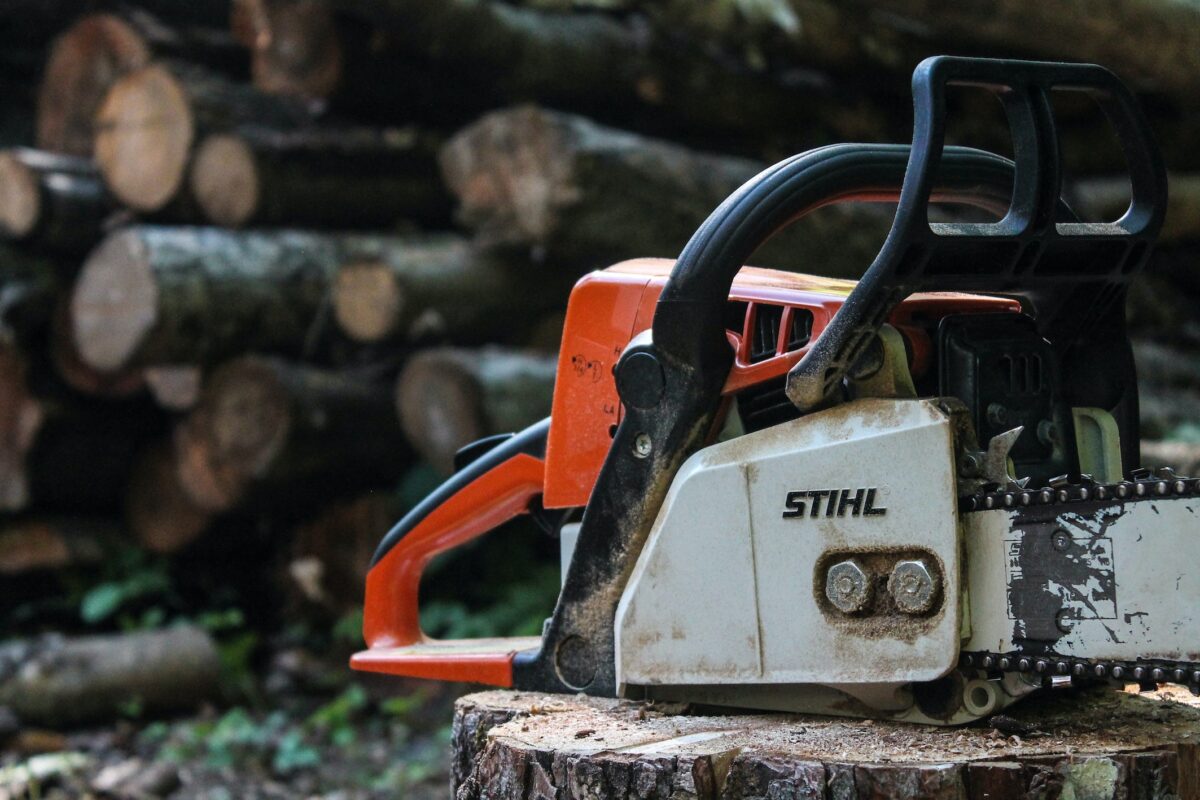 Bernstein: Free trading is like giving chainsaws to toddlers