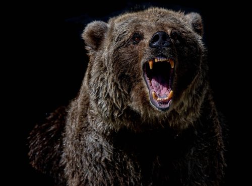 A ten-point plan for the bear market